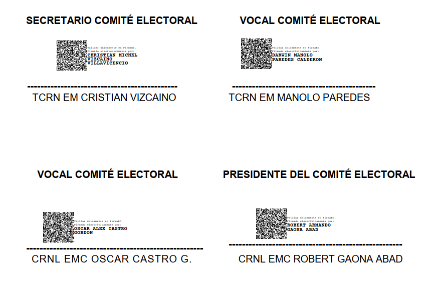 PROCESO ELECTORAL3